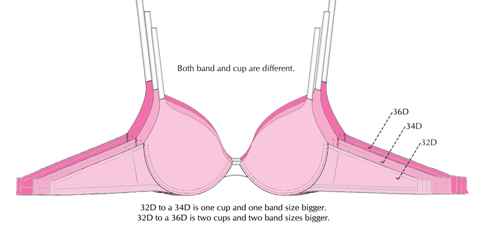 Bra and Cup Cup Fitting Problem